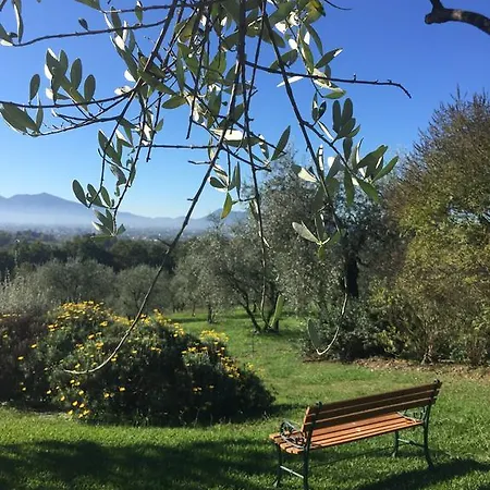 Bertolli Villas Gasthof Matraia
