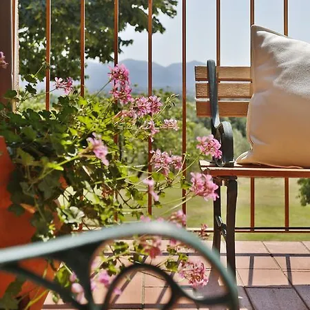Bertolli *